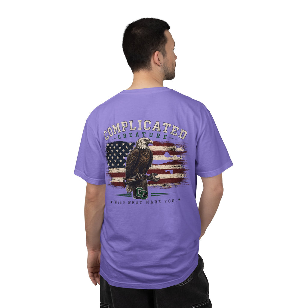 American Flag and eagle CC