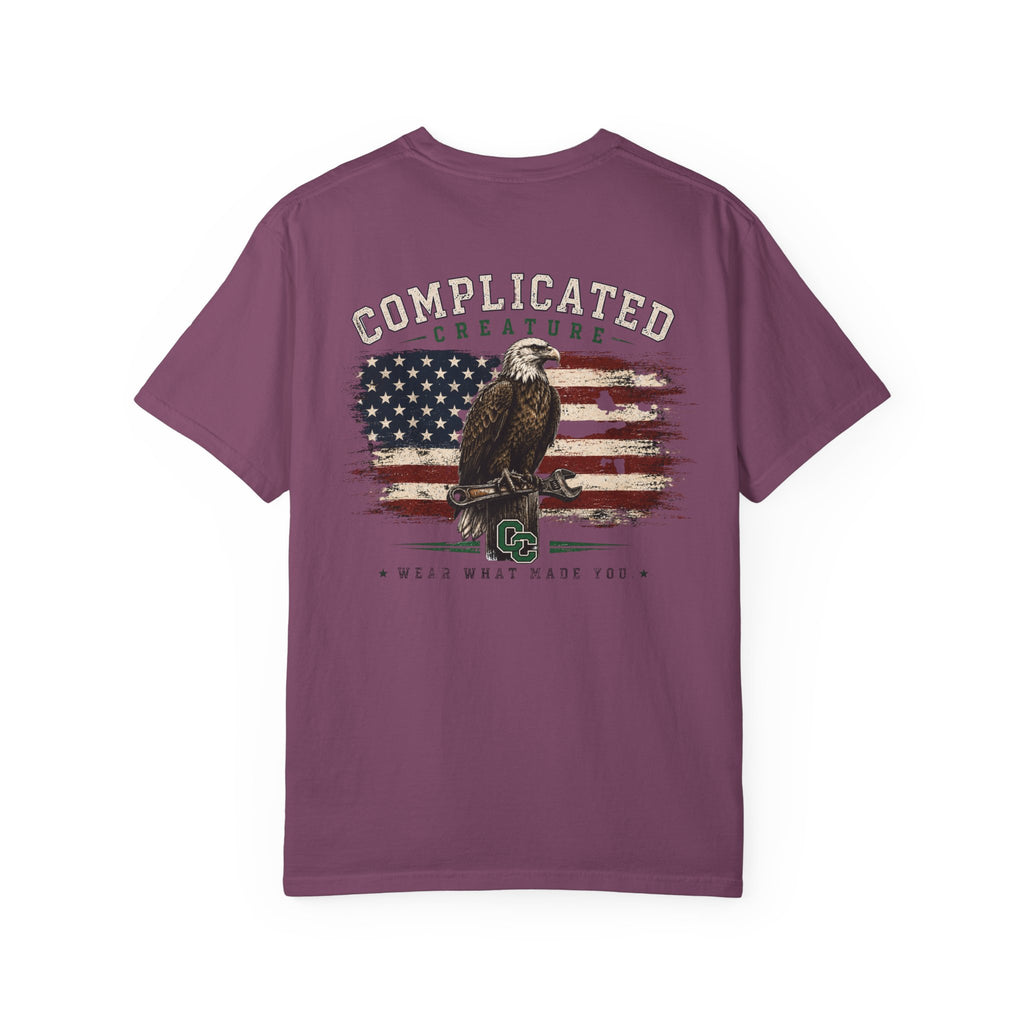 American Flag and eagle CC